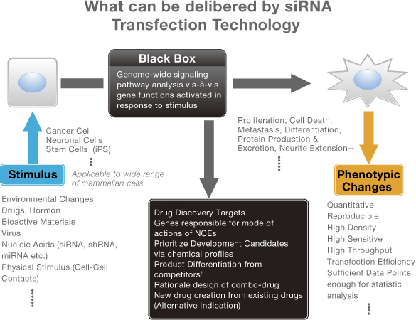 siRNAトランスフェクションと臨床開発におけるその応用の画像