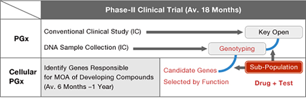 Phase-II clinical trialの画像